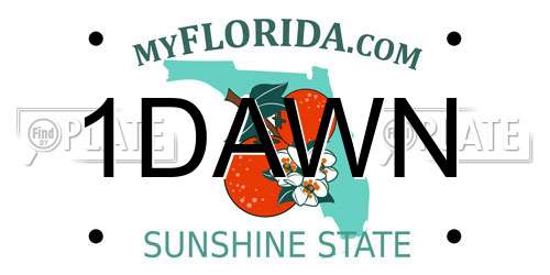 1DAWN Florida License Plate