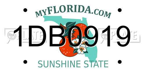 1DB0919 Florida License Plate