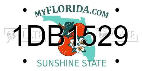 1DB1529 Florida License Plate