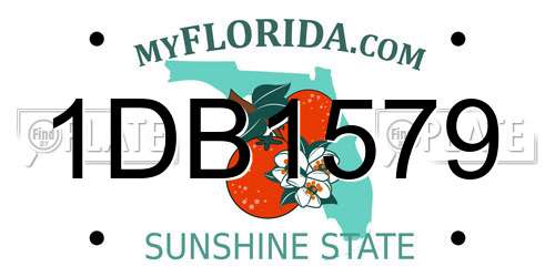 1DB1579 Florida License Plate
