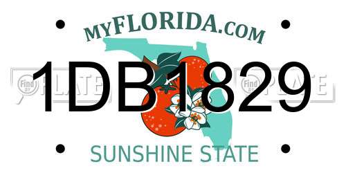 1DB1829 Florida License Plate