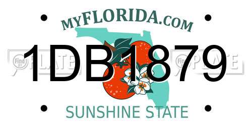 1DB1879 Florida License Plate