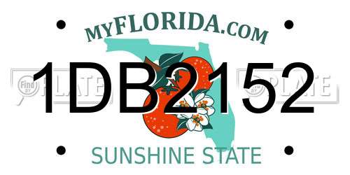 1DB2152 Florida License Plate