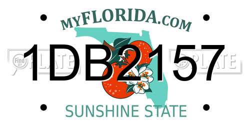 1DB2157 Florida License Plate