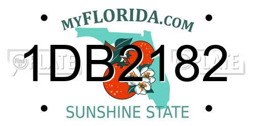 1DB2182 Florida License Plate