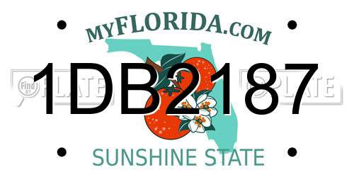 1DB2187 Florida License Plate