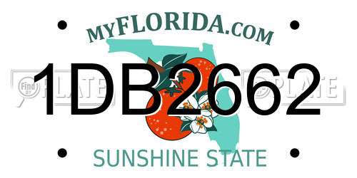 1DB2662 Florida License Plate