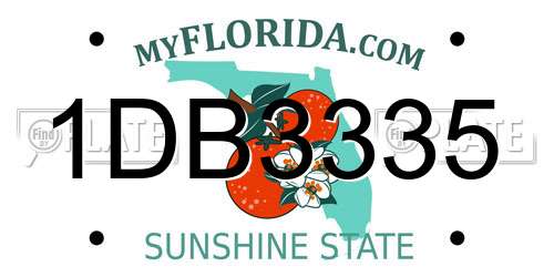 1DB3335 Florida License Plate