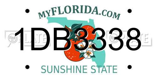 1DB3338 Florida License Plate