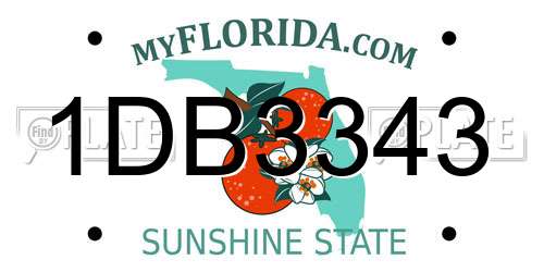 1DB3343 Florida License Plate