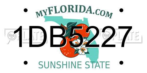 1DB5227 Florida License Plate