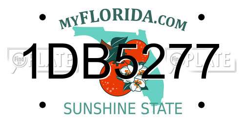 1DB5277 Florida License Plate