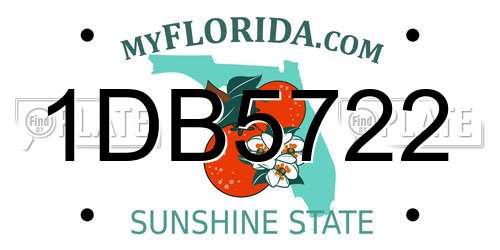1DB5722 Florida License Plate