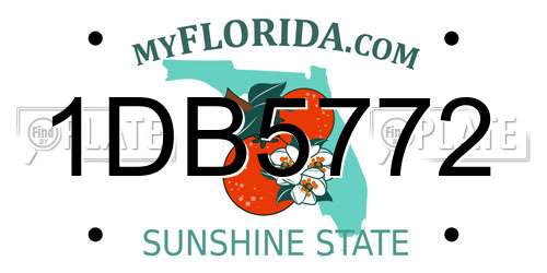 1DB5772 Florida License Plate