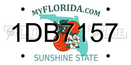 1DB7157 Florida License Plate