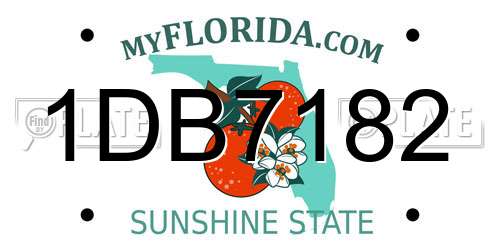 1DB7182 Florida License Plate