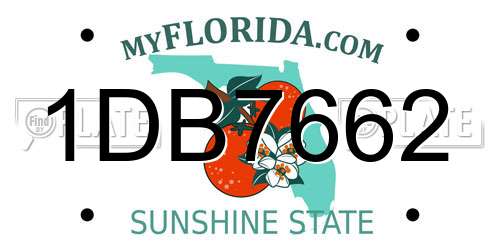 1DB7662 Florida License Plate