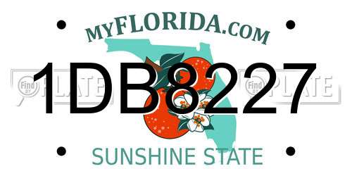 1DB8227 Florida License Plate