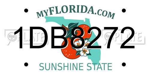 1DB8272 Florida License Plate