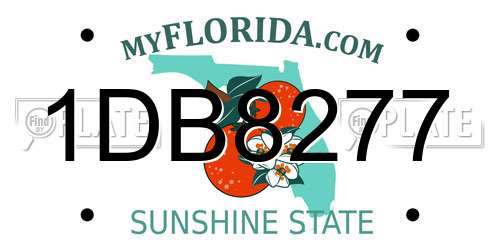 1DB8277 Florida License Plate