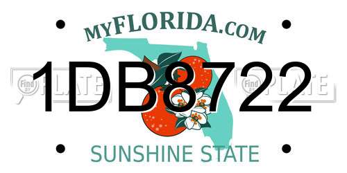 1DB8722 Florida License Plate