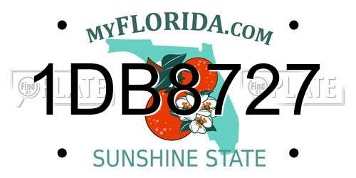 1DB8727 Florida License Plate
