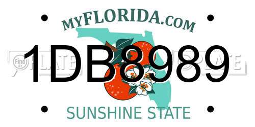 1DB8989 Florida License Plate