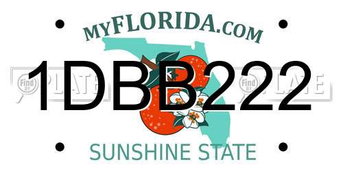 1DBB222 Florida License Plate