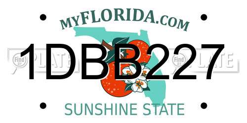 1DBB227 Florida License Plate