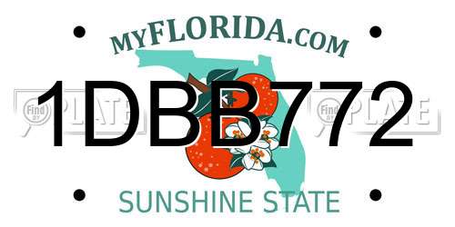 1DBB772 Florida License Plate