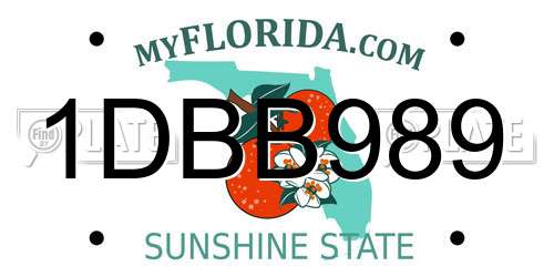 1DBB989 Florida License Plate