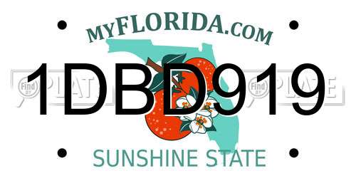 1DBD919 Florida License Plate
