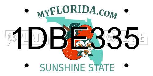 1DBE335 Florida License Plate