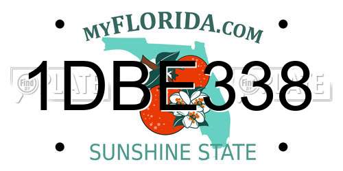 1DBE338 Florida License Plate