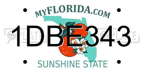 1DBE343 Florida License Plate