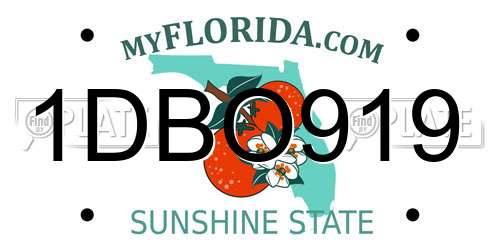 1DBO919 Florida License Plate