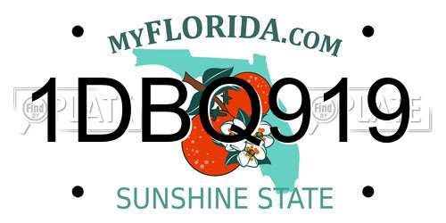 1DBQ919 Florida License Plate