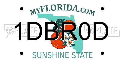 1DBR0D Florida License Plate
