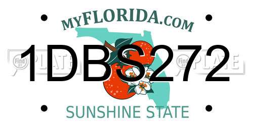 1DBS272 Florida License Plate