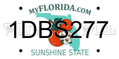 1DBS277 Florida License Plate