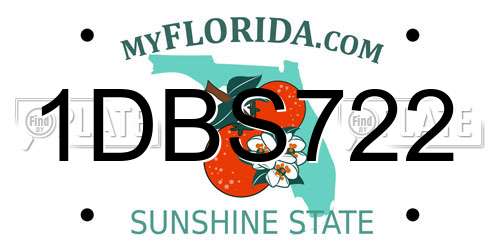 1DBS722 Florida License Plate