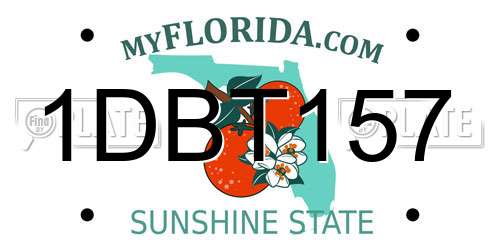 1DBT157 Florida License Plate