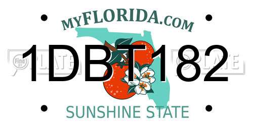 1DBT182 Florida License Plate
