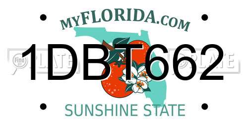 1DBT662 Florida License Plate