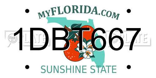 1DBT667 Florida License Plate