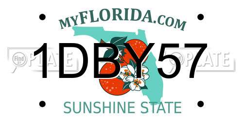 1DBY57 Florida License Plate