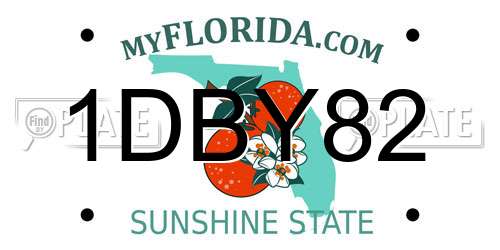 1DBY82 Florida License Plate