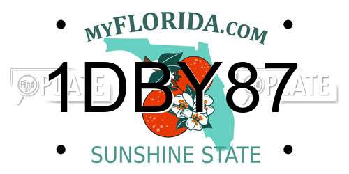 1DBY87 Florida License Plate