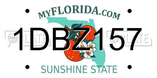 1DBZ157 Florida License Plate
