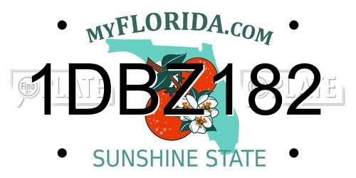 1DBZ182 Florida License Plate
